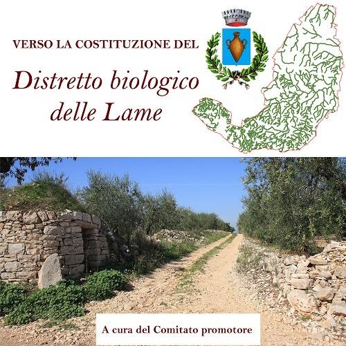 Logo Distretto Lame