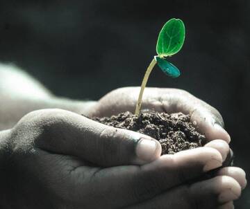 Progetto “Agricultura”: Banca Della Terra e inclusione sociale e lavorativa dei giovani. mercoledì 25 un incontro pubblico a Palazzo Caputi 