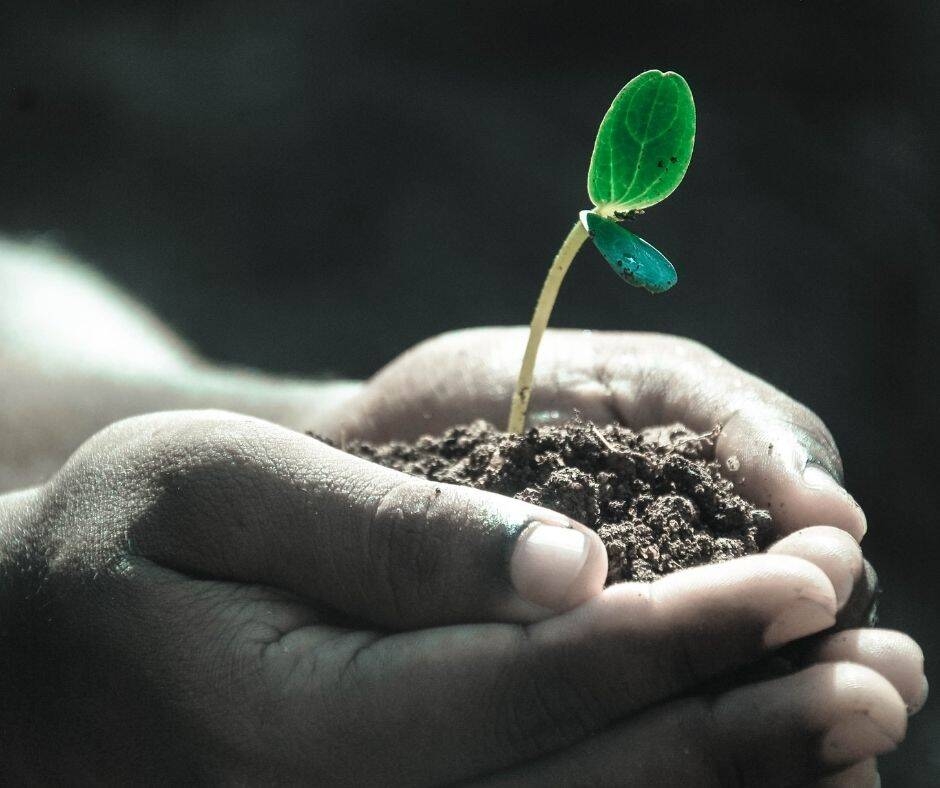 Immagine: AgriCultura