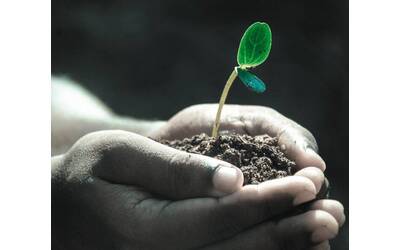 Immagine: AgriCultura