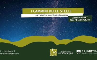 Immagine: murgia stelle