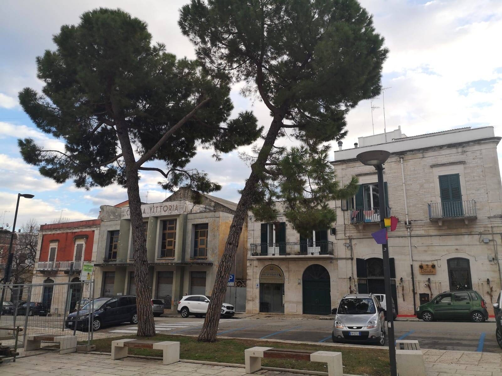 Immagine: Pini pericolanti