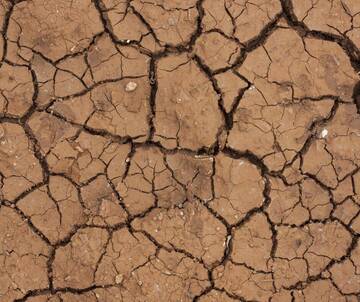 Aiuti agricoli per la “Siccità 2022”: un chiarimento sulle modalità di presentazione delle domande