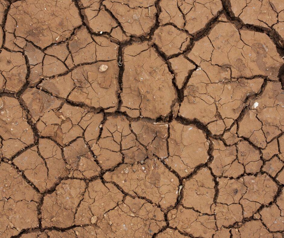 Immagine: Progetto senza titolo (2)