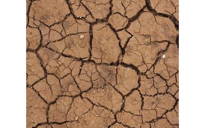 Immagine: Progetto senza titolo (2)