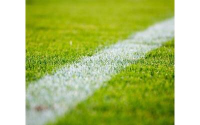 Immagine: Progetto senza titolo (3)