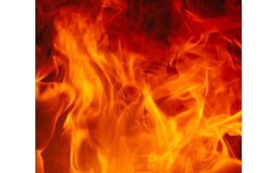 Immagine: Progetto senza titolo (4)