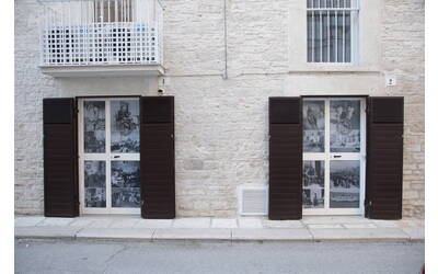 Immagine: Raccolta museale