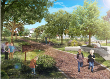 PNRR: Progetto “Green Lane” per la forestazione urbana, al via i cantieri del parcheggio del Liceo Tedone e della zona industriale