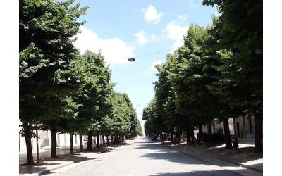 Immagine: Tigli-cavour_reference (1)