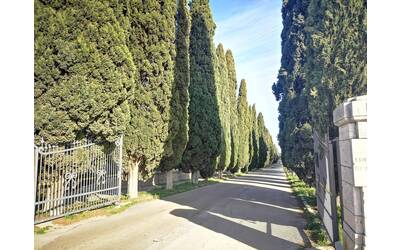 Immagine: Viale cimitero