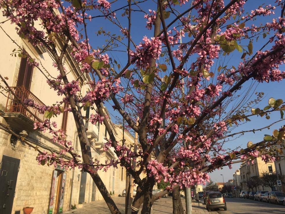 Immagine: WhatsApp Image 2022-04-11 at 20.53.34