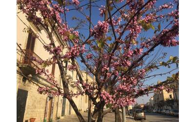 Immagine: WhatsApp Image 2022-04-11 at 20.53.34