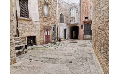 Immagine: WhatsApp Image 2023-03-30 at 16.36.07