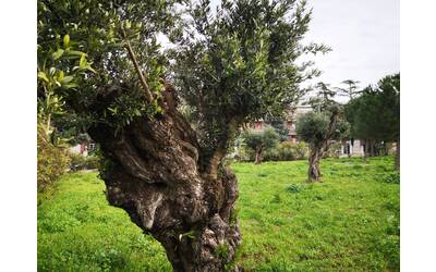 Immagine: WhatsApp Image 2023-04-13 at 19.43.08 (1)