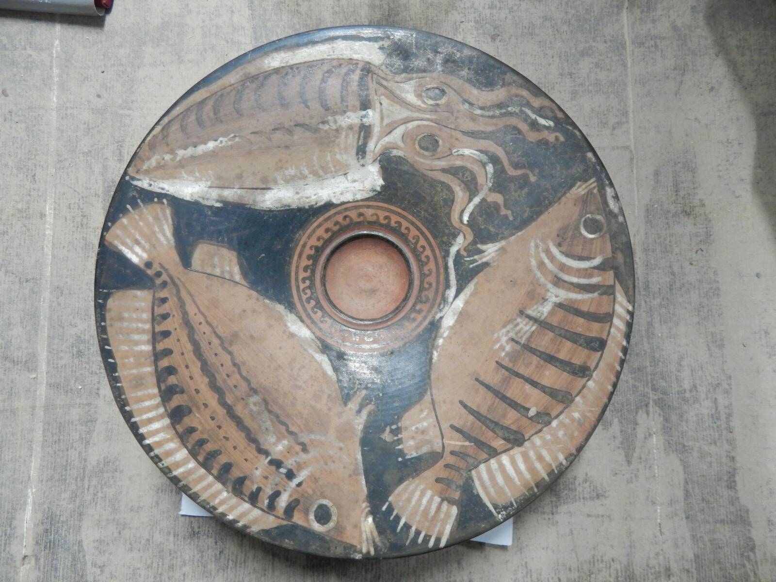 Immagine: WhatsApp Image 2023-07-21 at 14.53.20