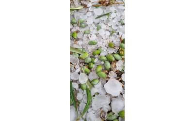 Immagine: WhatsApp Image 2023-09-23 at 18.27.32