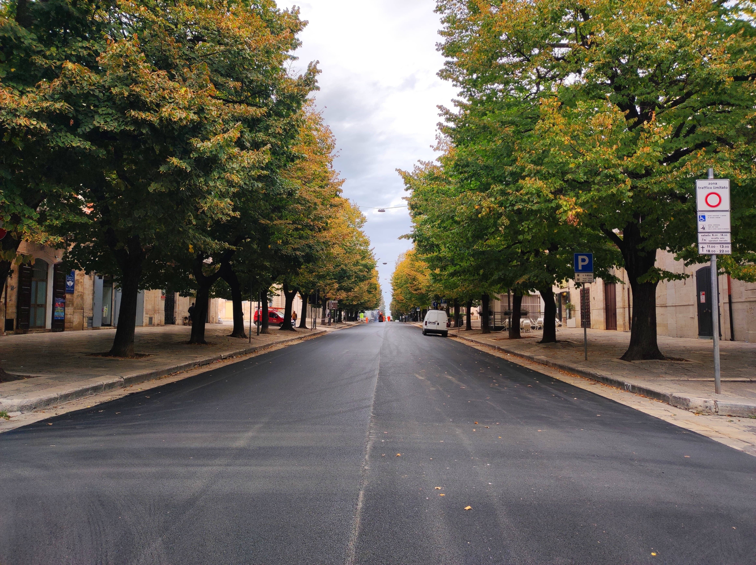 Immagine: WhatsApp Image 2023-11-10 at 13.18.42