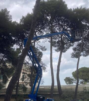 Pineta comunale: al via la manutenzione straordinaria
