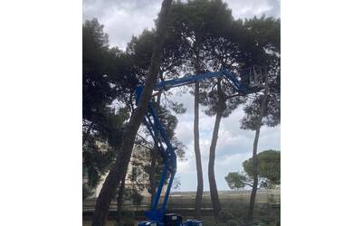 Immagine: WhatsApp Image 2024-04-26 at 15.07.42